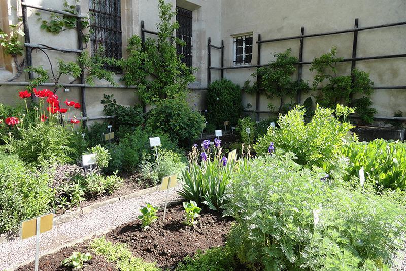 The herb garden at Bebenhausen Monastery