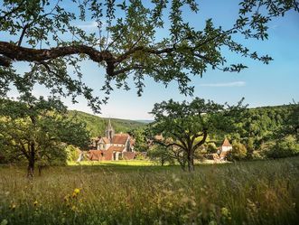 Kloster und Schloss Bebenhausen, Außenaufnahme aus der Ferne