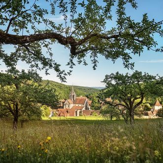 Kloster und Schloss Bebenhausen, Außenaufnahme aus der Ferne