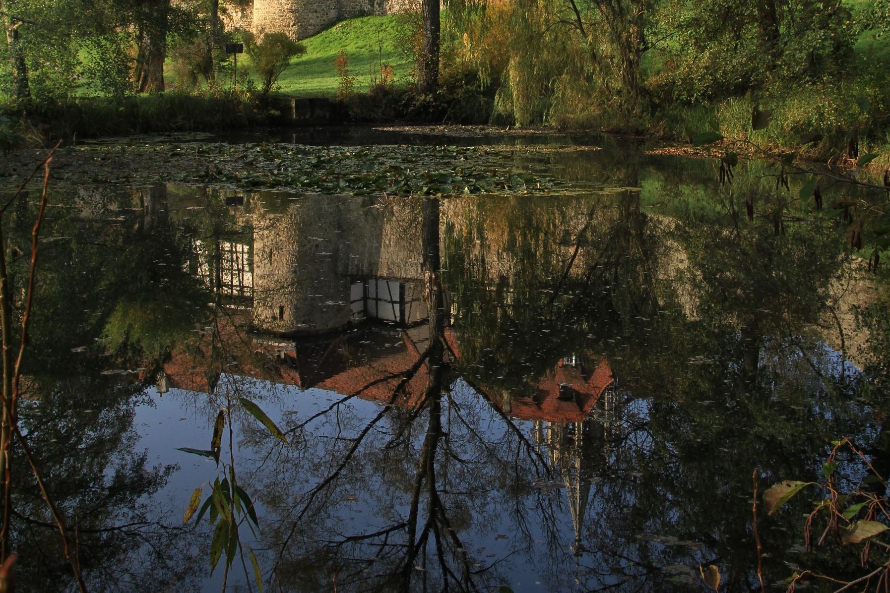 Kloster und Schloss Bebenhausen, Weiher 