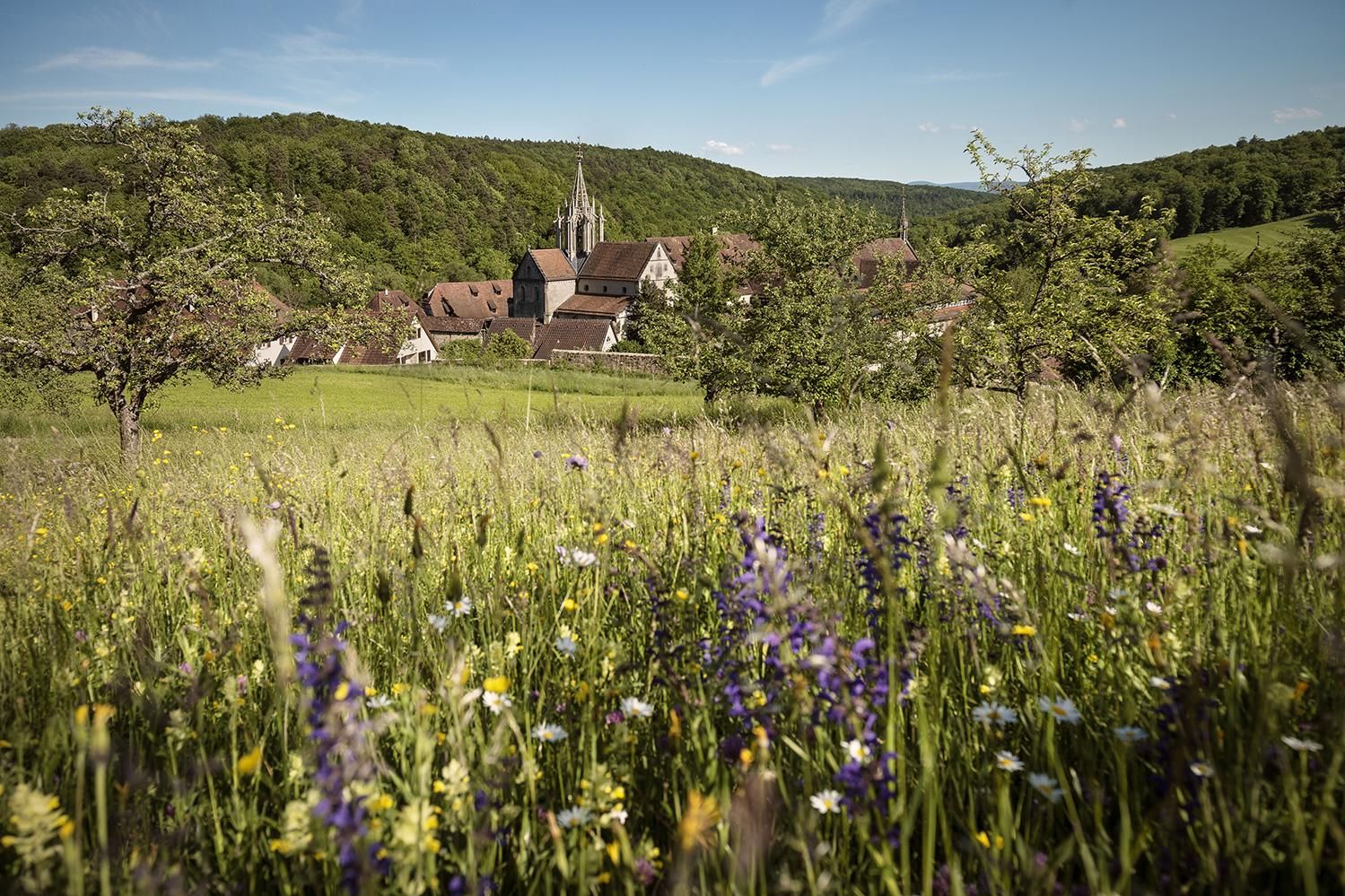 Kloster und Schloss Bebenhausen, Wiese vor dem Kloster und Schloss