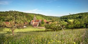 Kloster Bebenhausen in der Landschaft des Schönbuchs