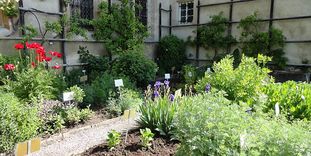 The herb garden at Bebenhausen Monastery